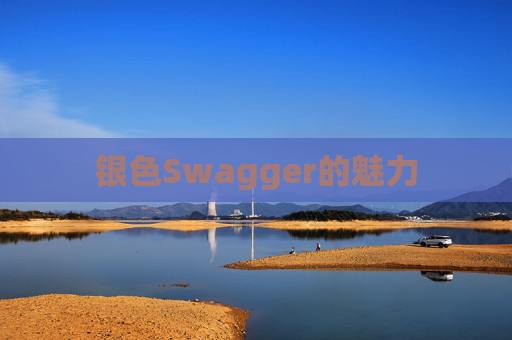 银色Swagger的魅力 银色Swagger的魅力